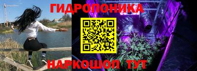 ПСИЛОЦИБИНОВЫЕ ГРИБЫ Коммунар