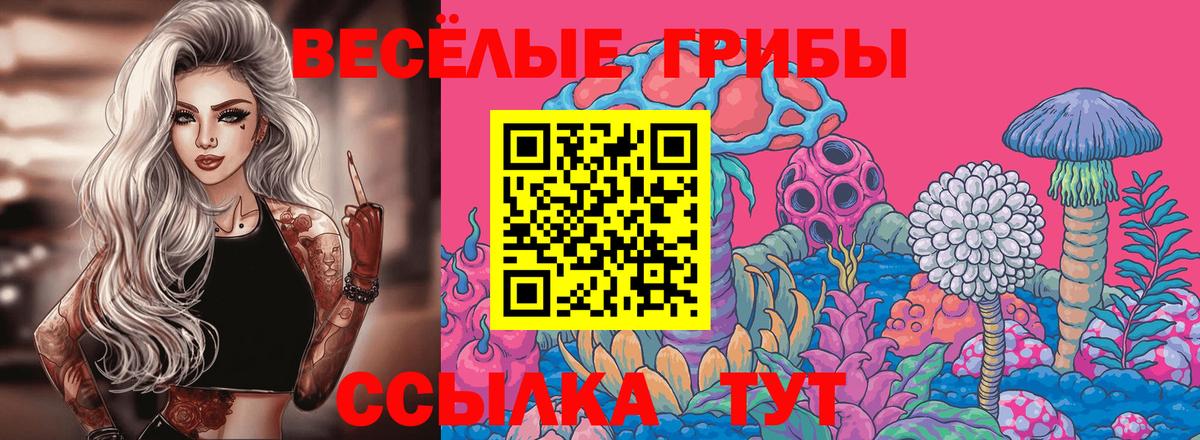 Галлюциногенные грибы Magic Shrooms Касимов